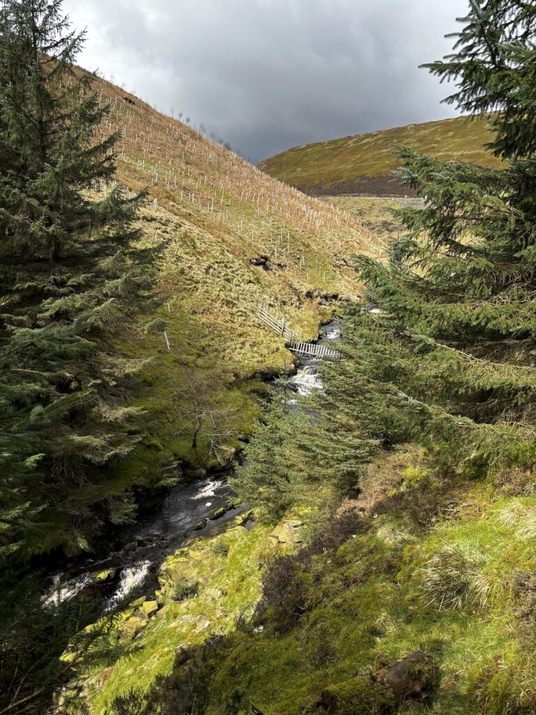 stunning river flowing through a valley in the peak district