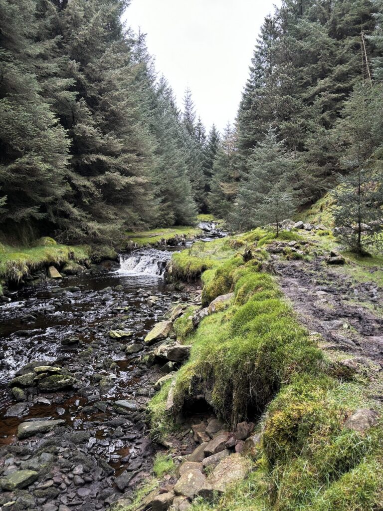 river running alongside the seldom trod path in the Peak District